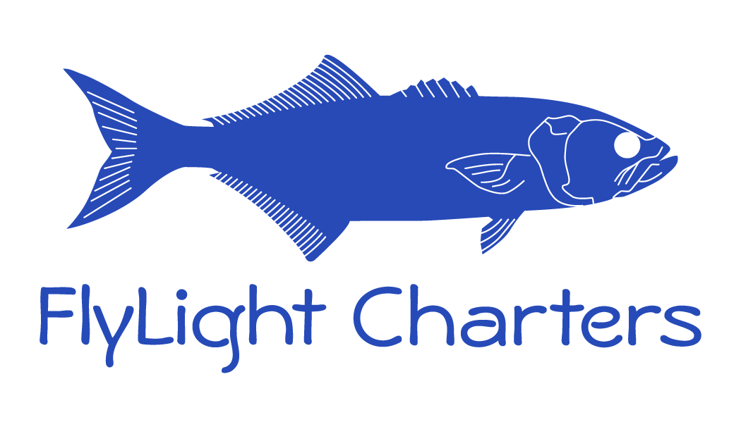 FlyLight Charters